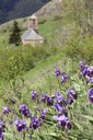 IMG_0608.jpg